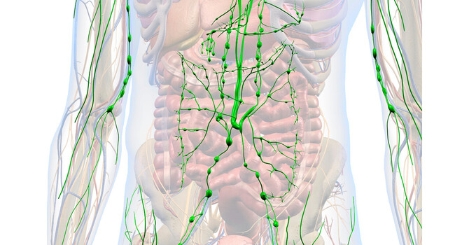 Lymphatic Drainage